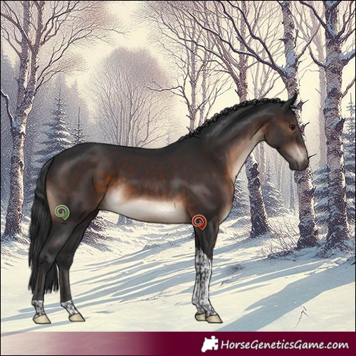 Horse Color:Brown Tobiano 