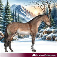 Horse Color:Bay Dun Tobiano 