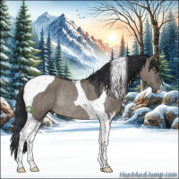 Horse Color:Grullo Tobiano Rabicano