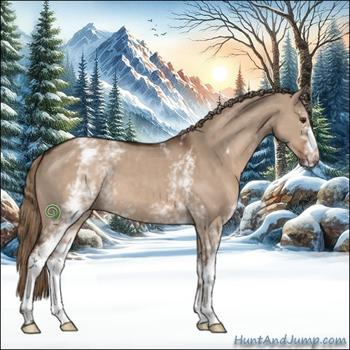 Horse Color:White Spotted Liver Red Dun 