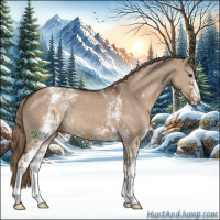 Horse Color:White Spotted Liver Red Dun 