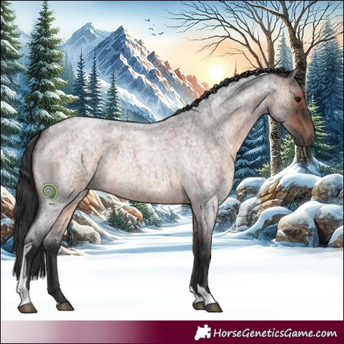 Horse Color:Brown Roan Tobiano 