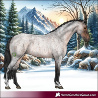 Horse Color:Brown Roan Tobiano 