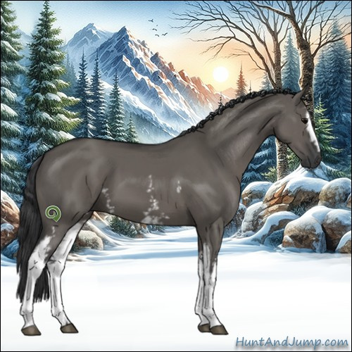 Horse Color:White Spotted Grullo 