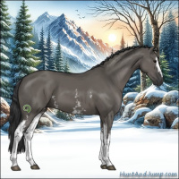 Horse Color:White Spotted Grullo 