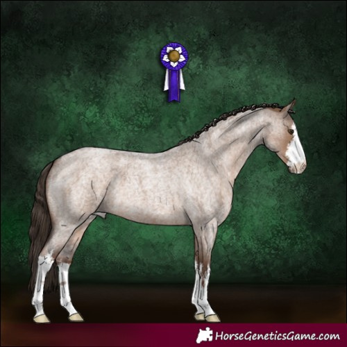 Horse Color:White Spotted Liver Red Dun Roan