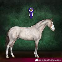 Horse Color:White Spotted Liver Red Dun Roan 