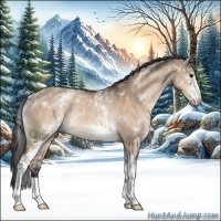 Horse Color:White Spotted Bay Dun Rabicano