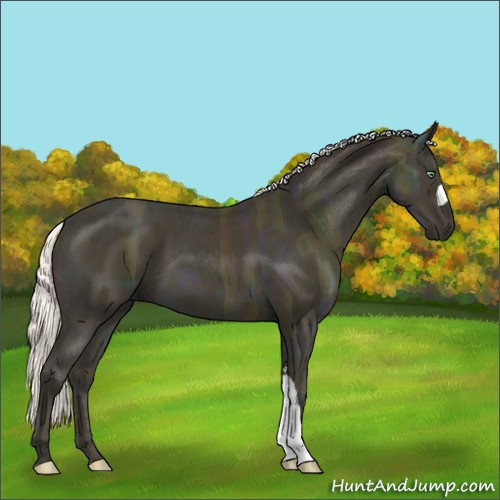 Horse Color:Midnight Silver Amber Cream Champagne Ice
