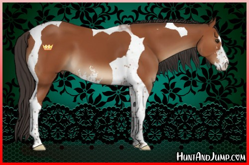 Horse Color:Brown Sabino Tobiano