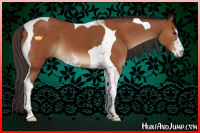 Horse Color:Brown Sabino Tobiano