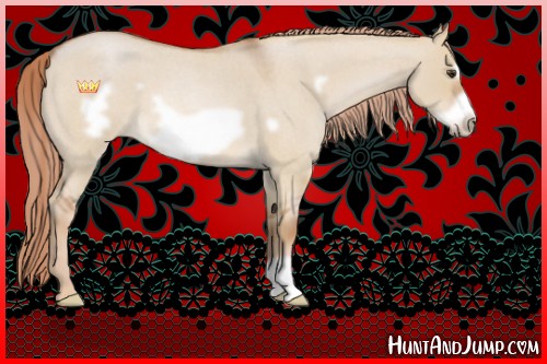 Horse Color:Red Dun Roan Frame 