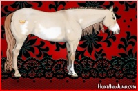 Horse Color:Red Dun Roan Frame 