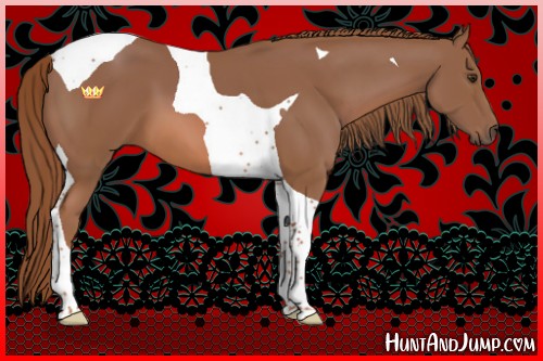 Horse Color:Chestnut Tobiano