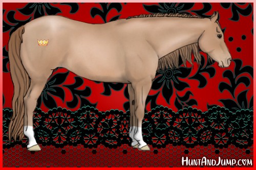 Horse Color:Blue Roan Pearl 