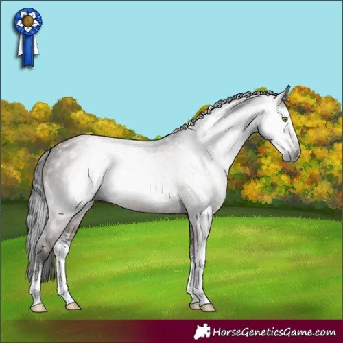 Horse Color:Gray Smoky Grullo Sabino