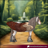 Horse Color:Bay Appaloosa
