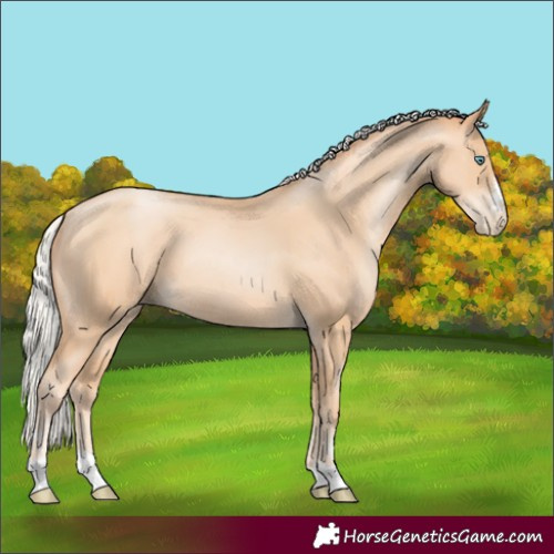 Horse Color:Silver Sable Champagne Pearl 