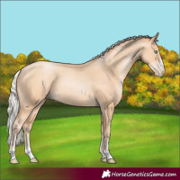 Horse Color:Silver Sable Champagne Pearl 