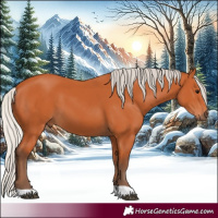 Horse Color:Silver Bay 