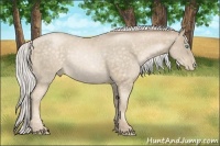 Horse Color:Silver Buckskin Pearl Sabino 