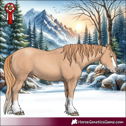 Horse Color:Gold Champagne Splash 