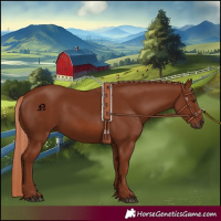 Horse Color:Chestnut Rabicano 