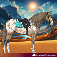 Horse Color:Buckskin Blanket 