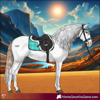 Horse Color:Bay Dun Snowcap 