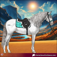 Horse Color:Grullo Snowcap 