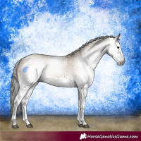 Horse Color:Gray White Spotted Brown Dun 
