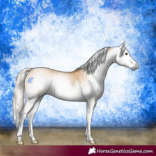 Horse Color:Gray White Spotted Palomino Dun Splash 