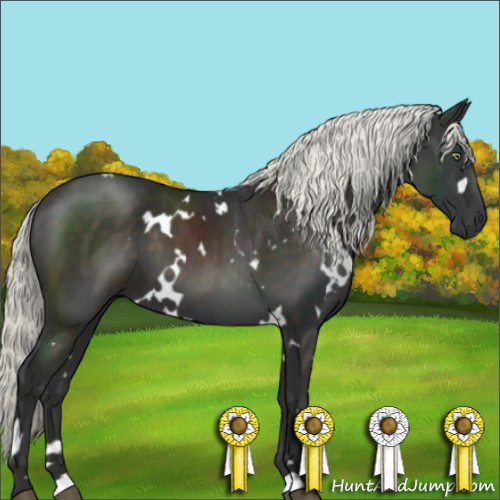 Horse Color:White Spotted Liver Chestnut Mushroom 