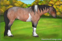 Horse Color:Bay Roan Tobiano