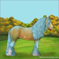 Horse Color:Watercolor Chocolate Brown Sabino