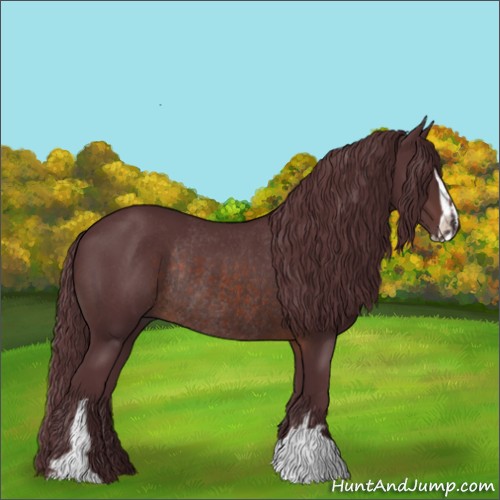 Horse Color:Chocolate Brown Sabino Rabicano 