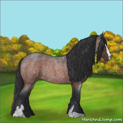 Horse Color:Brown Roan Sabino Rabicano 