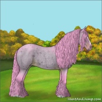 Horse Color:Watercolor Chocolate Brown Roan Sabino 