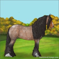 Horse Color:Buckskin Roan Sabino 