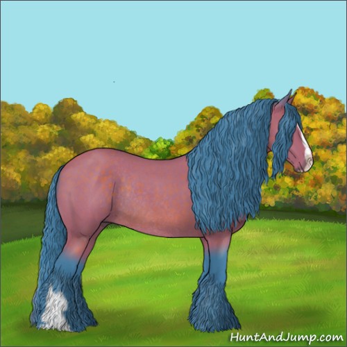 Horse Color:Watercolor Buckskin Roan Sabino Rabicano 