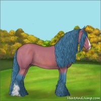 Horse Color:Watercolor Buckskin Roan Sabino Rabicano 