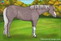 Horse Color:Chocolate Silver Smoky Black Chinchilla 
