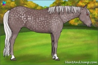 Horse Color:Chocolate Silver Smoky Black Chinchilla 
