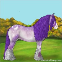 Horse Color:Watercolor Red Onyx Roan Varnish 
