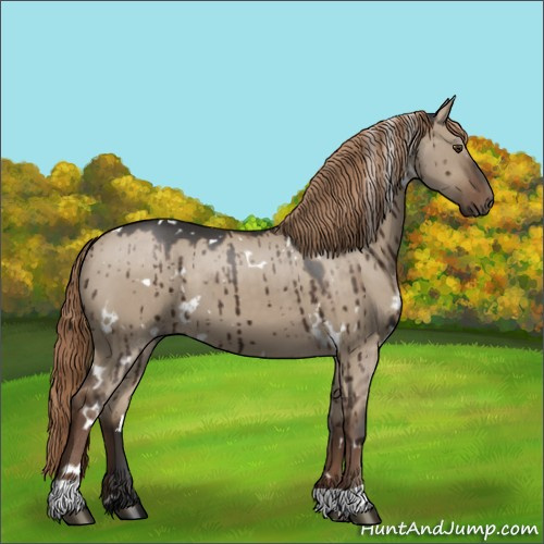 Horse Color:White Spotted Liver Red Dun Brindle 