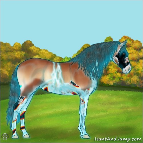 Horse Color:Thunderstruck Bay Onyx Splash 