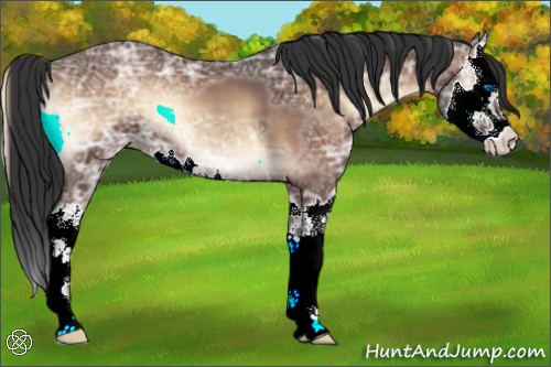 Horse Color:Brown Ice Onyx Sabino Splash 