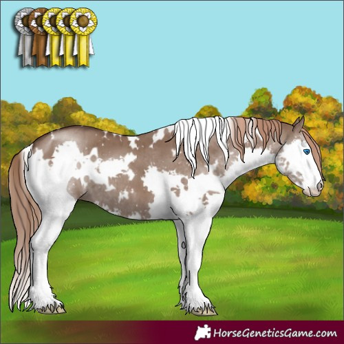 Horse Color:White Spotted Liver Red Dun Splash Brindle 