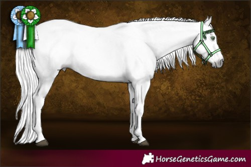 Horse Color:Gray Silver Buckskin Dun Sabino Appaloosa Rabicano Brindle 
