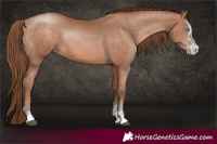 Horse Color:Chocolate Brown Pearl Sabino
